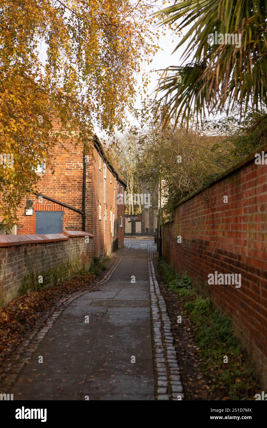 Gasse, Norwich Stockfoto