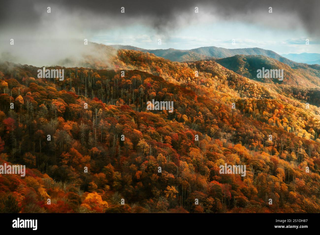 Rollende Berge im Herbst mit Wolken Stockfoto