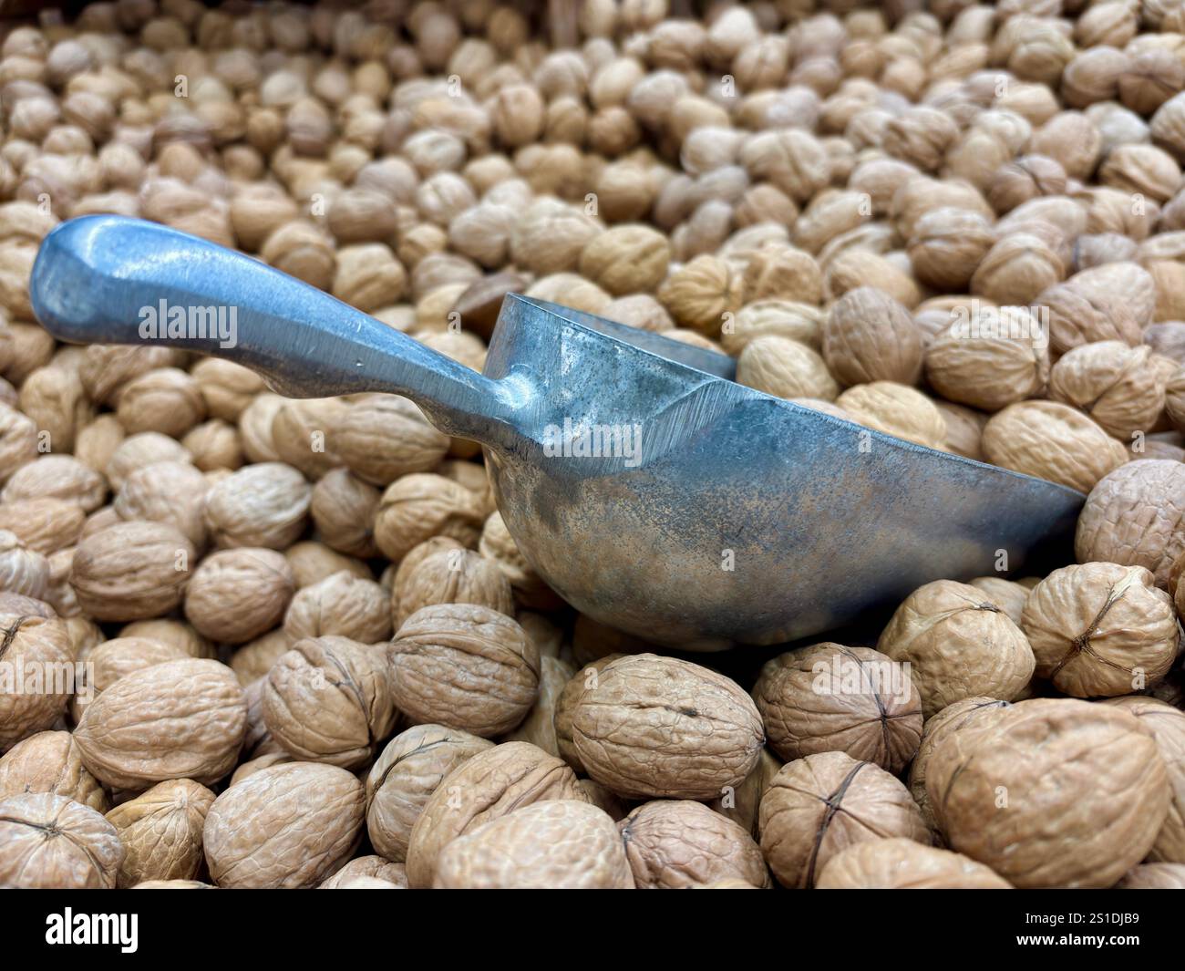 Nahaufnahme einer abgewinkelten Schaufel in einem großen Behälter mit Walnüssen Stockfoto