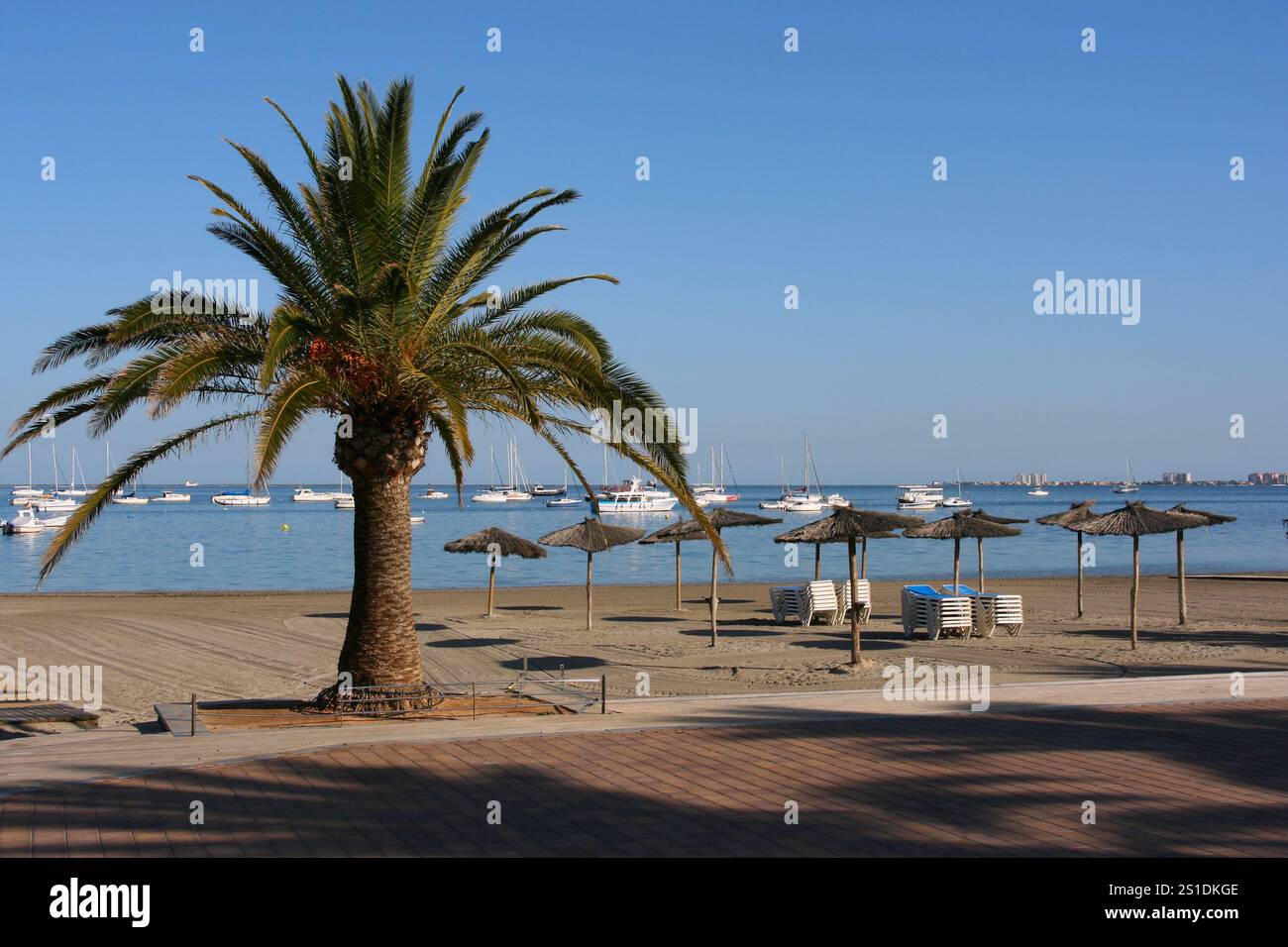 Strand Santiago de la Ribera in der Nähe von Murcia, Spanien. Palmen, Yachthafen und Strohschirme. Stockfoto