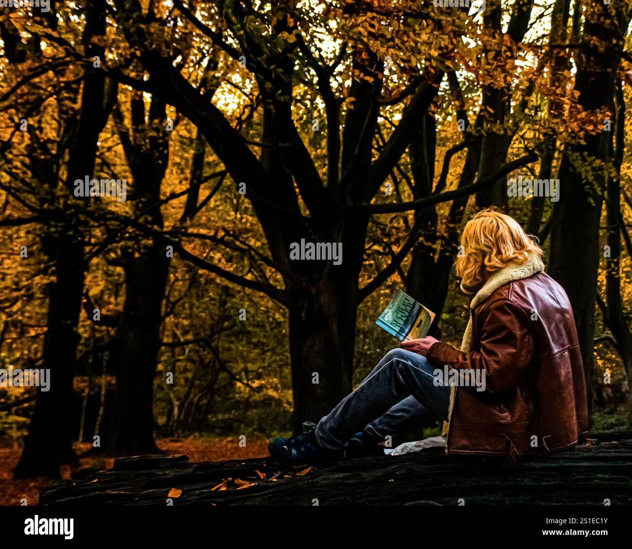 Eine Herbstszene im Hampstead Heath Park, London, wo ein Leser den Secret River inmitten von goldenem Laub genießt. Das Bild bietet einen negativen Platz. Stockfoto