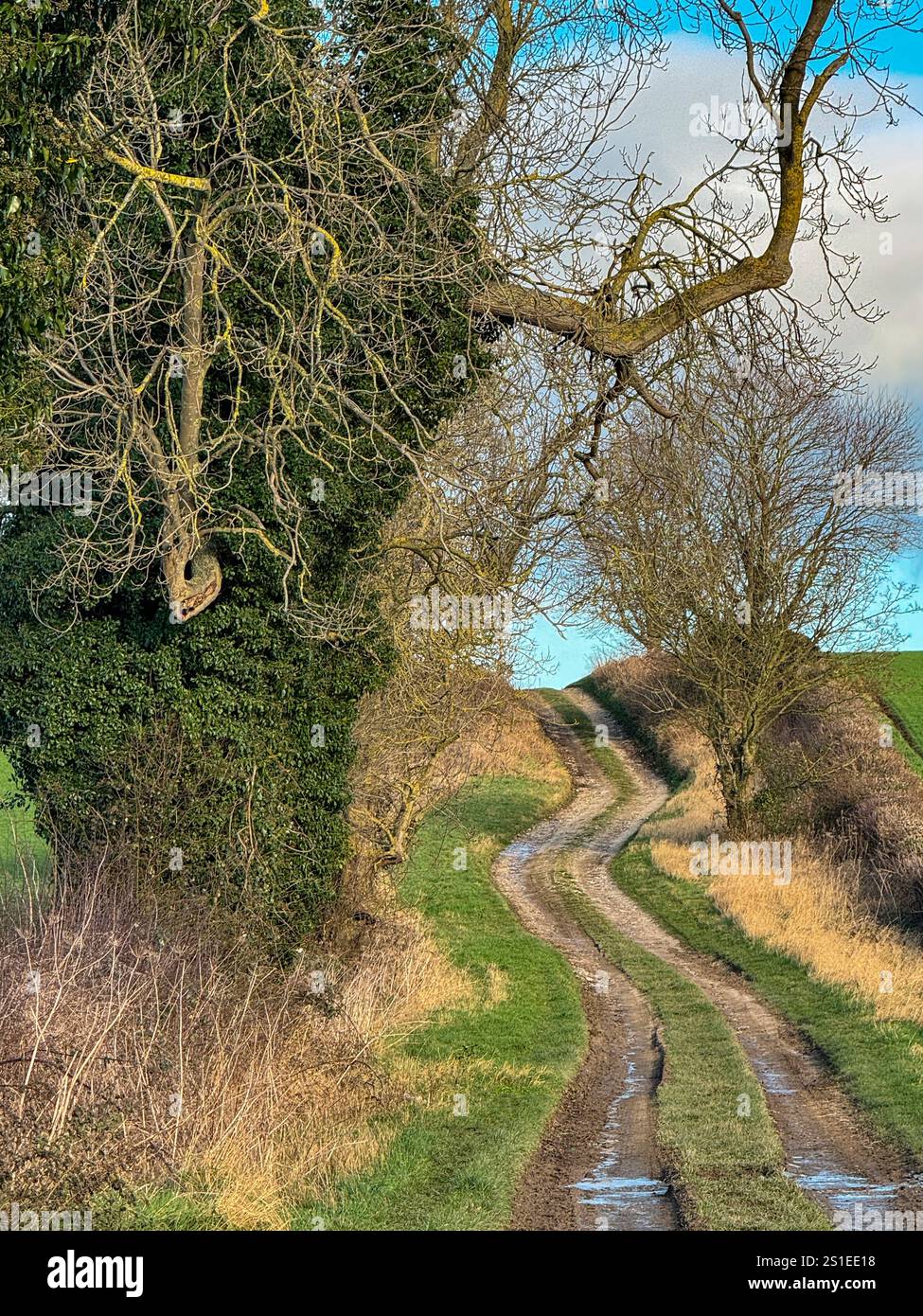 Farm Track in North Yorkshire im Vereinigten Königreich. Stockfoto Farm Track in North Yorkshire im Vereinigten Königreich. Stockfoto