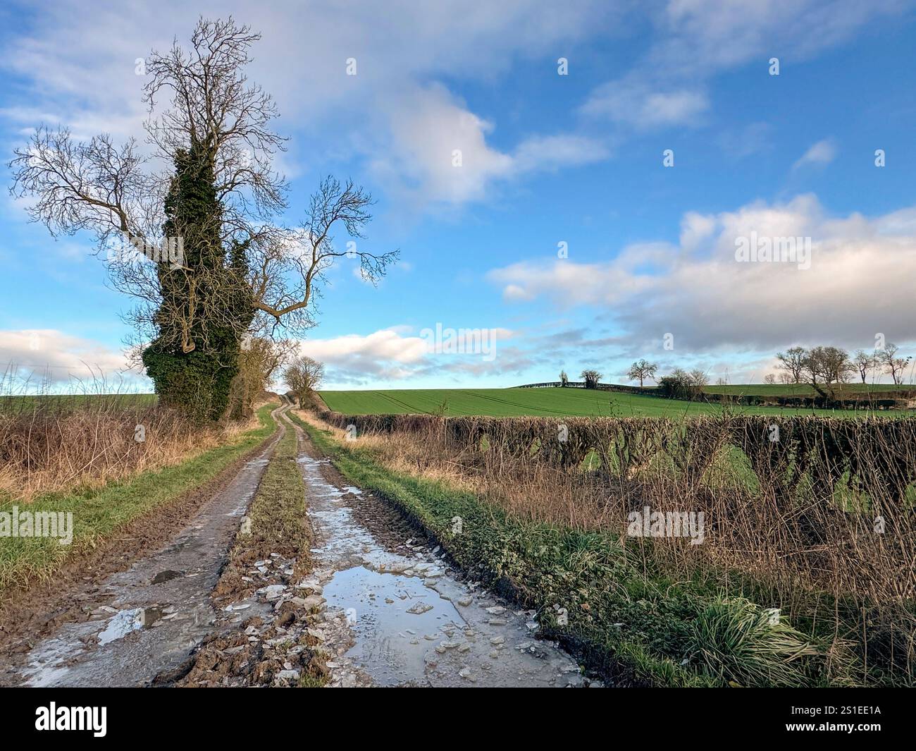 Farm Track in North Yorkshire im Vereinigten Königreich. Stockfoto Farm Track in North Yorkshire im Vereinigten Königreich. Stockfoto