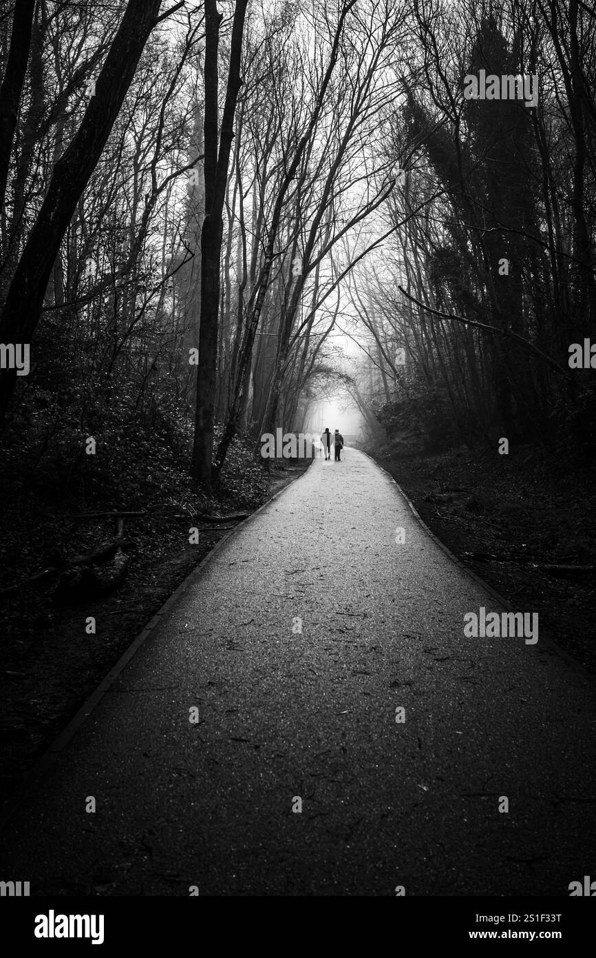 Ein Paar mit Silhouette geht Hand in Hand auf einem nebeligen Waldweg in friedlicher und besinnlicher Stimmung. Stockfoto