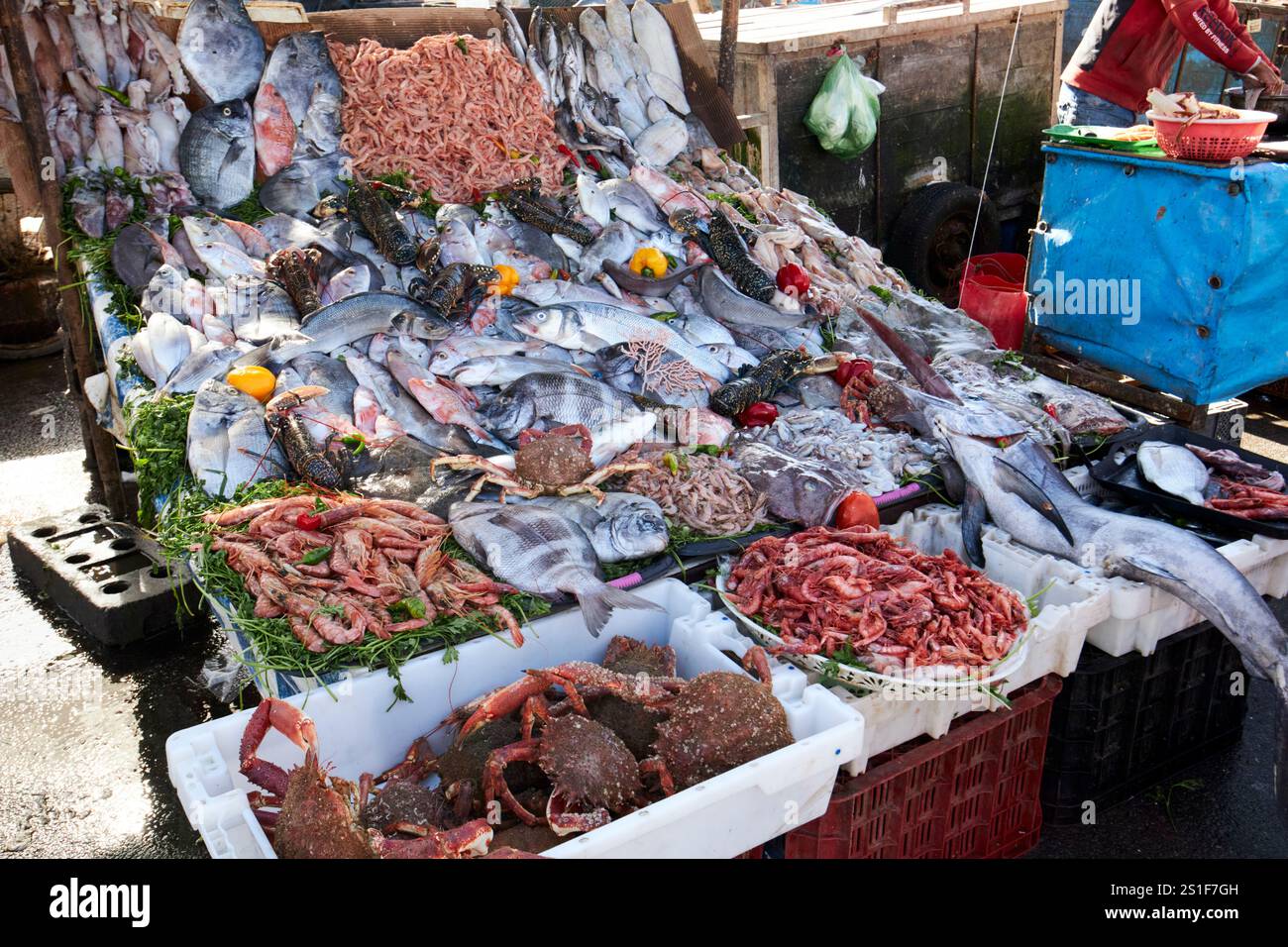 Eine Auswahl an frischem Fisch und Muscheln wird an einem Stand vor den Fischerbooten im Hafen von essaouira, marokko, verkauft Stockfoto