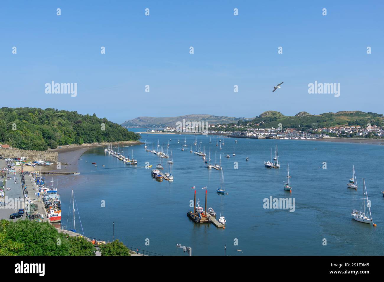 Conwy Wales - Juli 31 2024; Blick von Conwy Castle über Stadt und Fluss mit Straße unten und Stadtgebäude mit Booten und Kai unten. Stockfoto