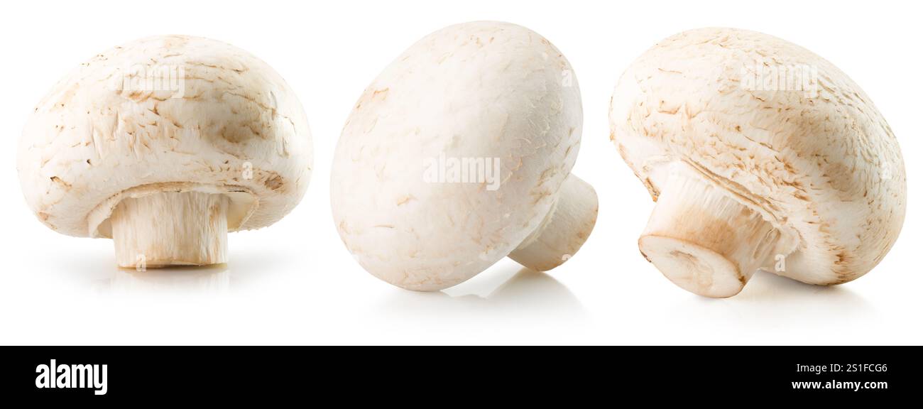 Sekt isoliert auf weißem Hintergrund. Stockfoto