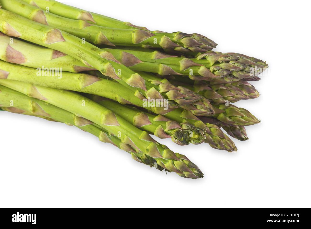 Frischer grüner Spargel auf weißem Hintergrund Stockfoto