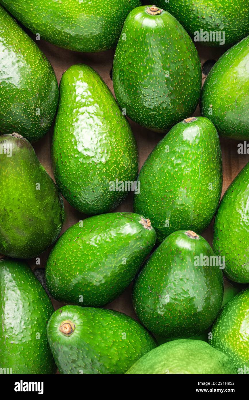 Ein lebendiges und farbenfrohes Display frischer grüner Avocados, ideal für die Zubereitung gesunder Rezepte und Gourmetgerichte Stockfoto