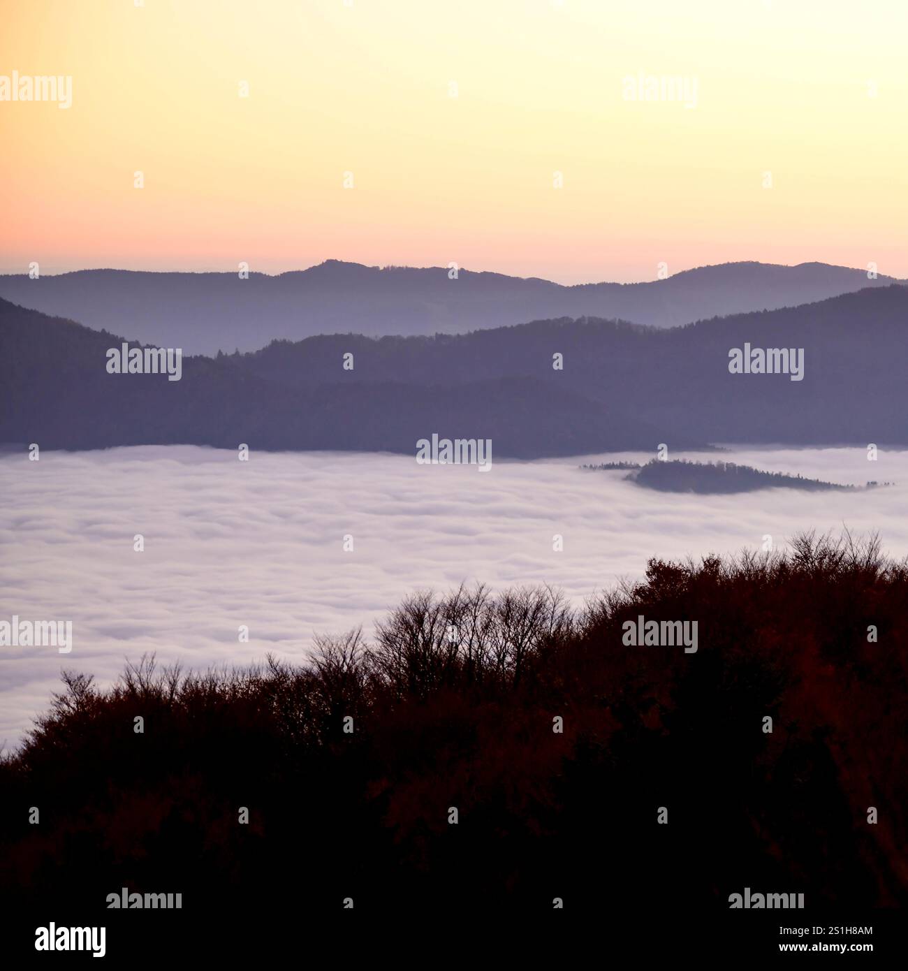 Großer Ballon Abendlicher Blick in Richtung Westen vom Bergmassiv großer Ballon in den Vogesen in Frankreich, fotografiert am 1.11.2024. Colmar Vogesen Frankreich  JK11180 *** Grand Ballon Abendansicht in westlicher Richtung vom Bergmassiv Grand Ballon in den Vogesen in Frankreich, fotografiert am 1 11 2024 Colmar Vosges France JK11180 Stockfoto