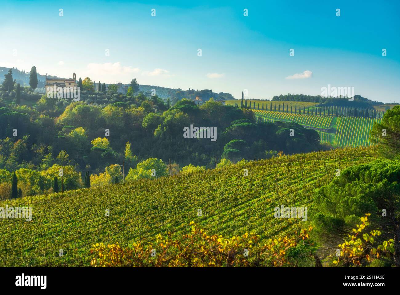 Chianti Weinberge im Herbst, Bäume und Sant'Angelo a Vico l'Abate Kirche. San Casciano Val di Pesa, Provinz Florenz, Region Toskana, IT Stockfoto