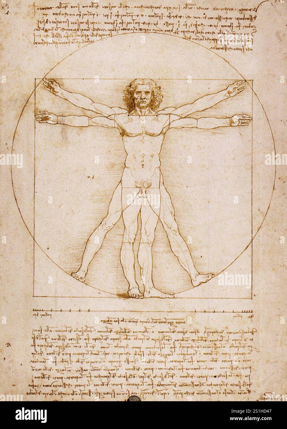 Titel: Die Proportionen der menschlichen Figur (nach Vitruv) Künstler: Leonardo da Vinci Jahr: c. 1492 Medium: Stift & Tinte auf Papier Abmessungen: 34,3 cm x 24,5 cm Ort: Galleria dell'Accademia, Venedig Stockfoto