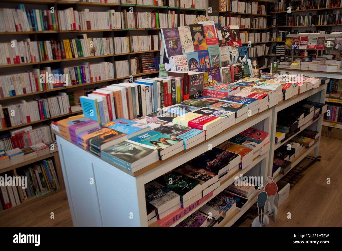 Gut eingerichteter Buchladen, Vitry-sur-seine, Paris, Frankreich - wunderschön ausgestellte Bücher Stockfoto