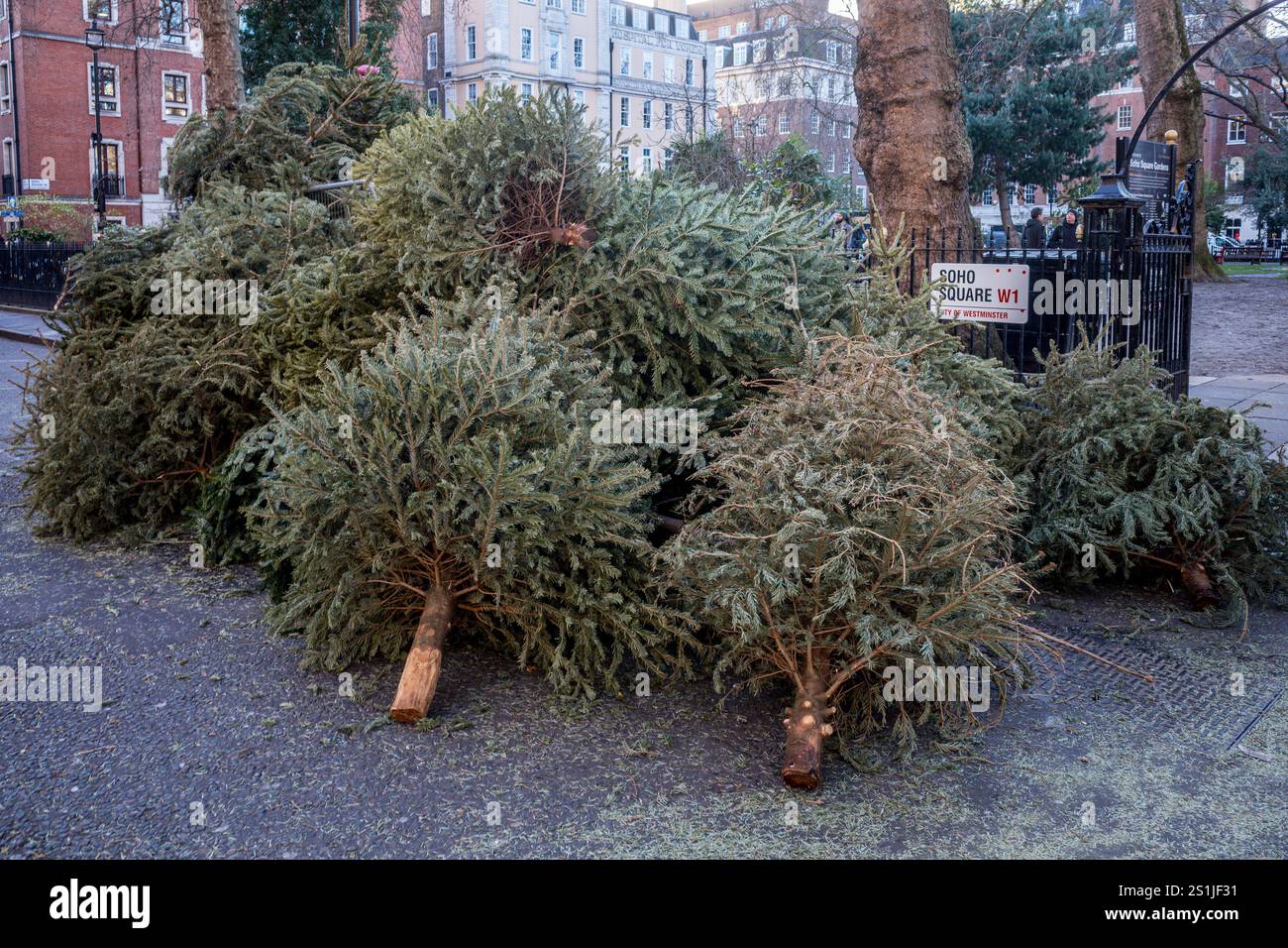 Entsorgte Weihnachtsbäume London. Entsorgte Weihnachtsbäume im Soho Square Central London. Christmas Tree Recycling London. Stockfoto