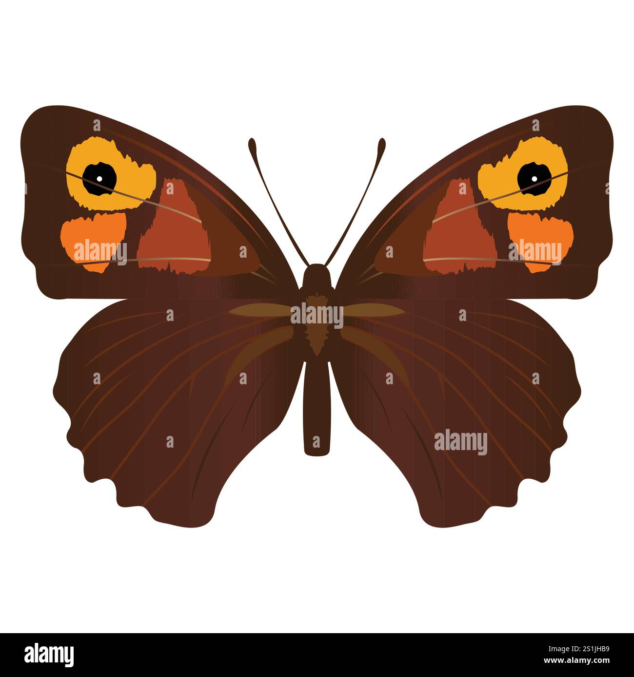 Künstlerischer isolierter brauner Schmetterling; isolierter Schmetterling, druckfertig; Stock Vektor