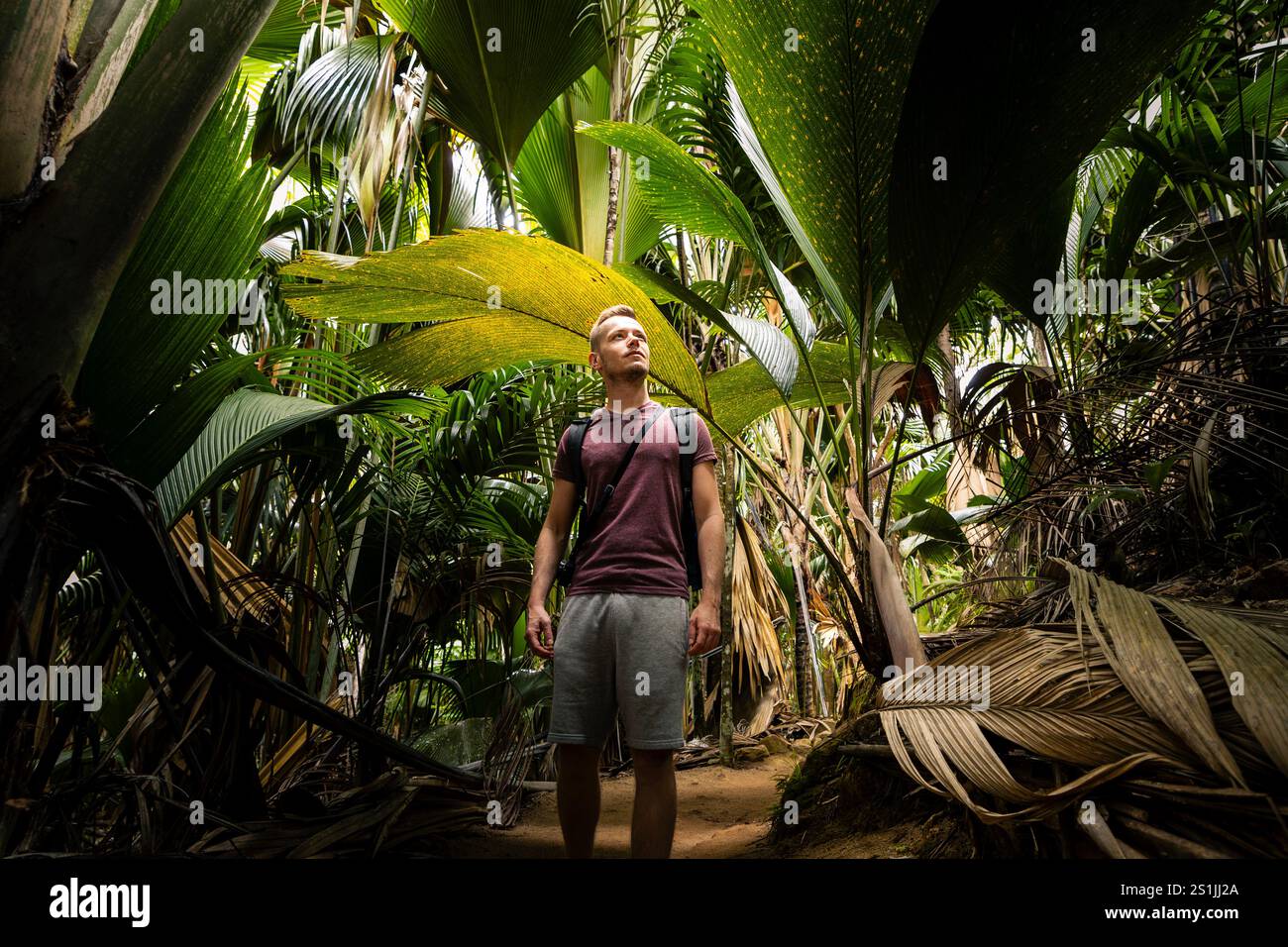 Mann mit Rucksack, der den Dschungel erforscht. Reisende im tropischen Regenwald auf den Seychellen. Stockfoto