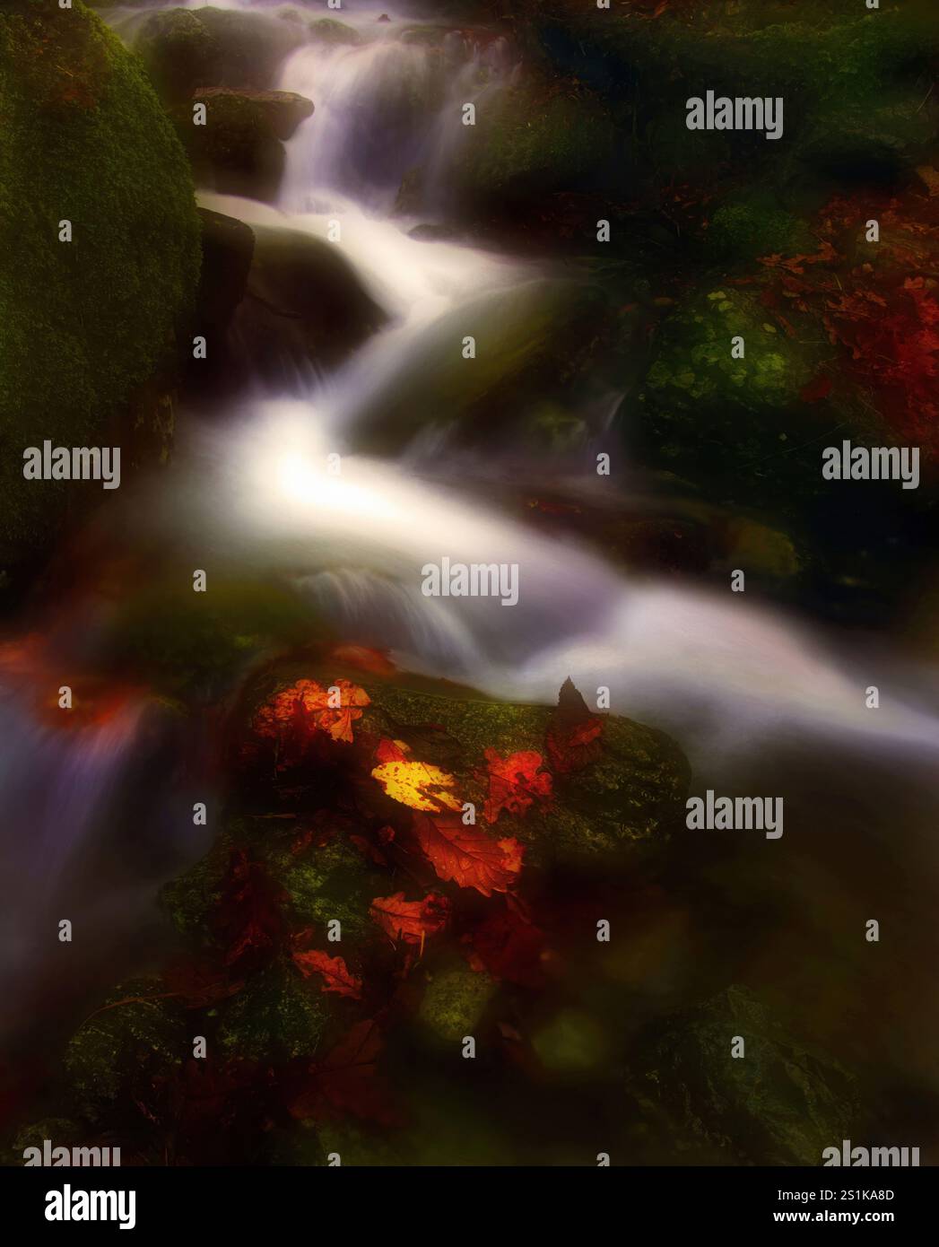 Ein atmosphärischer Herbstblick in sanftem Fokus auf einen sich verdrehenden Bach in Brandlehow Wood, Derwent Water, Lake District, Cumbria, England, UK. Stockfoto