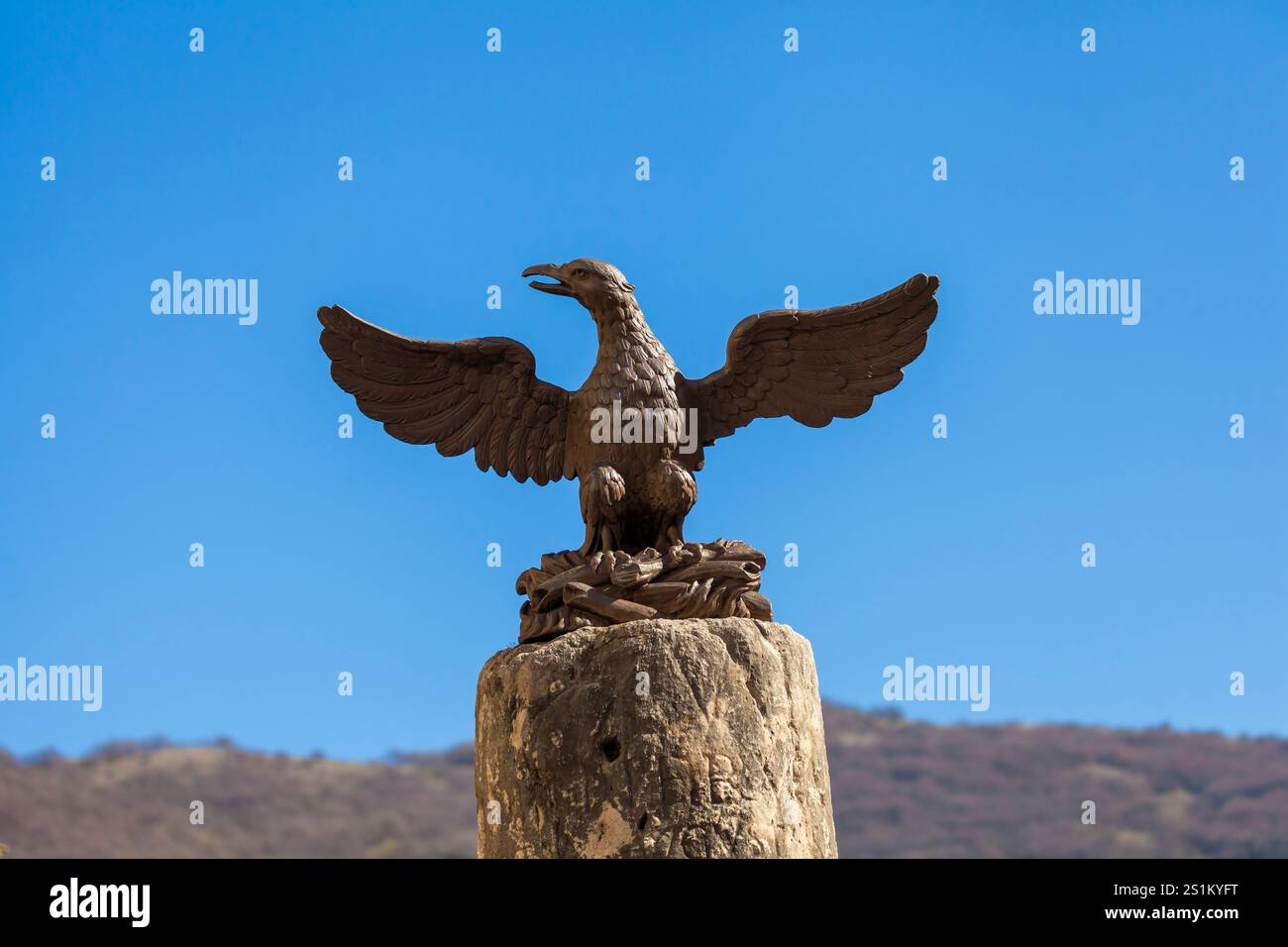 Adlerdenkmal mit detaillierten Federn und wildem Ausdruck Stockfoto