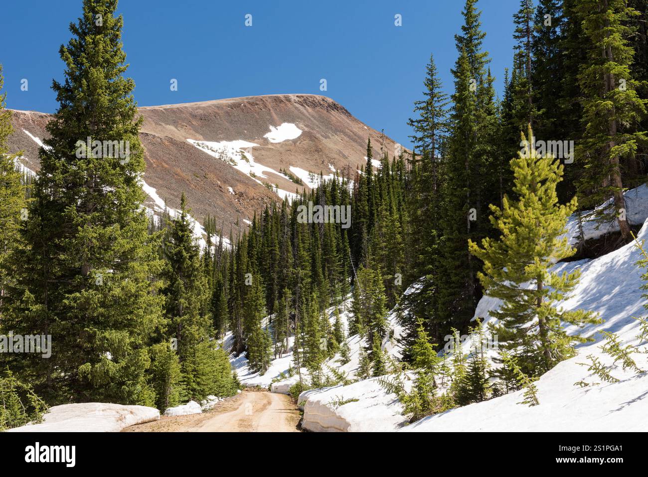 12.027 Meter langer Thunder Mountain vom Michigan Ditch Trail aus. Der Michigan Trail befindet sich in der Nähe des Cameron Pass, der von Outdoor-Enthusiasten genutzt wird. Stockfoto