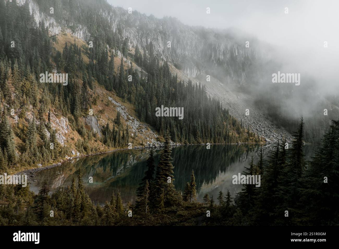 Ein nebeliger Start in den Tag am Mount Rainier Stockfoto