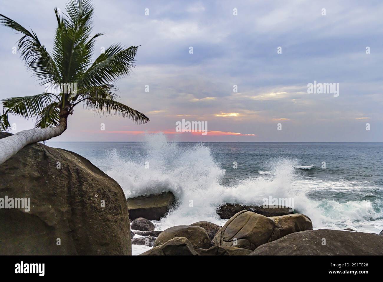Wilder Strand mit Surf an der Küste mit Blick auf den Indischen Ozean. Palmen und hohe Wellen bei Sonnenuntergang. Patong, Kathu, Phuket Island, Thailand, Asien Stockfoto