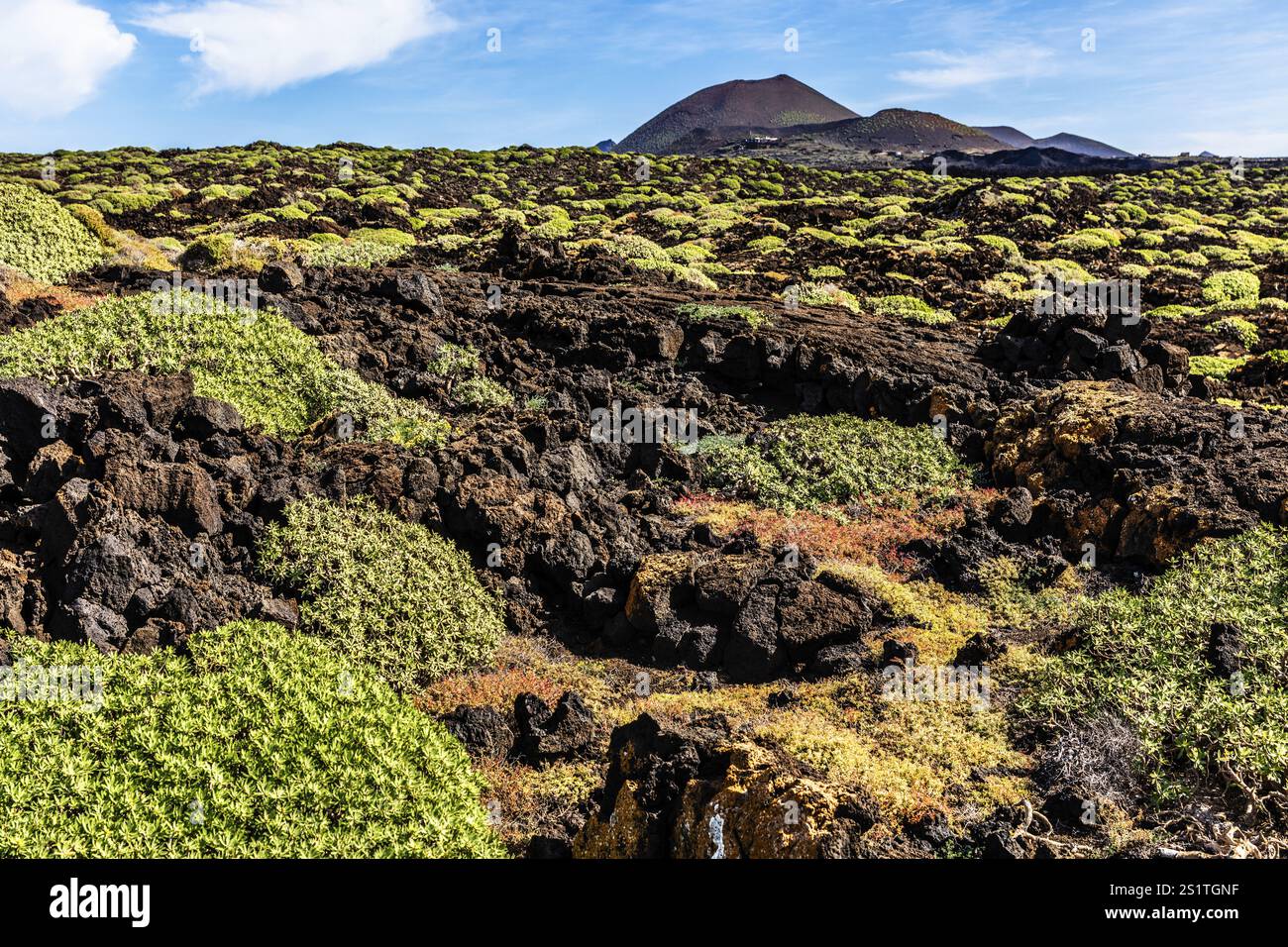 2016, Timanfaya-Nationalpark, Lanzarote, Feuerberge des Timanfaya-Nationalparks, Montanas del Fuego, ESP, Spanien, Kanarische Inseln, Kanarische Inseln, A Stockfoto