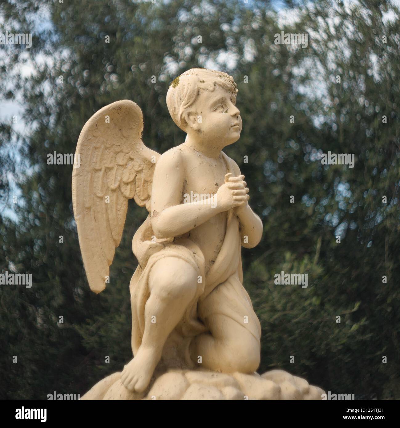 Statue eines Engels mit Flügeln, der zum Himmel blickt und betet Stockfoto