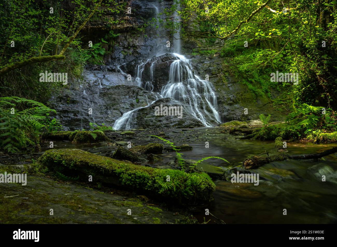 Wasserfall Santo Estevo do Ermo im Frühling, Barreiros, Provinz Lugo, Galicien, Spanien. Stockfoto