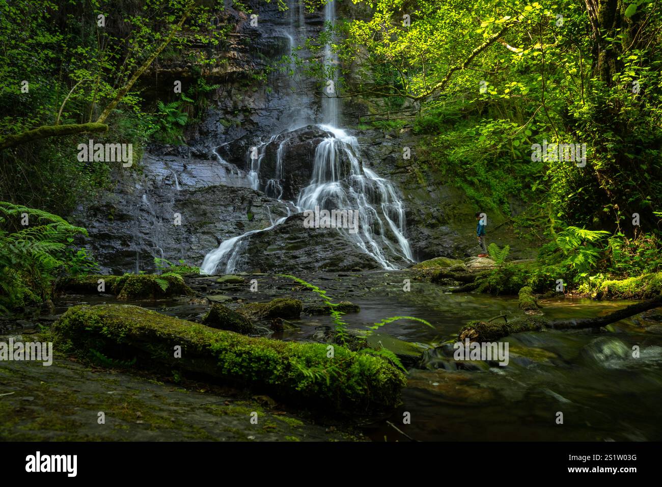 Wasserfall Santo Estevo do Ermo im Frühling, Barreiros, Provinz Lugo, Galicien, Spanien. Stockfoto