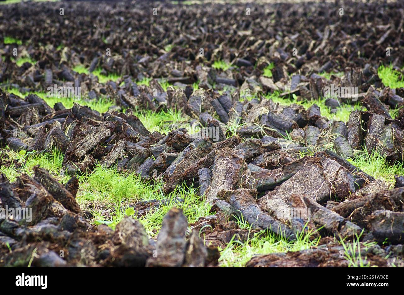 Torfgewinnung in Ostfriesland Stockfoto