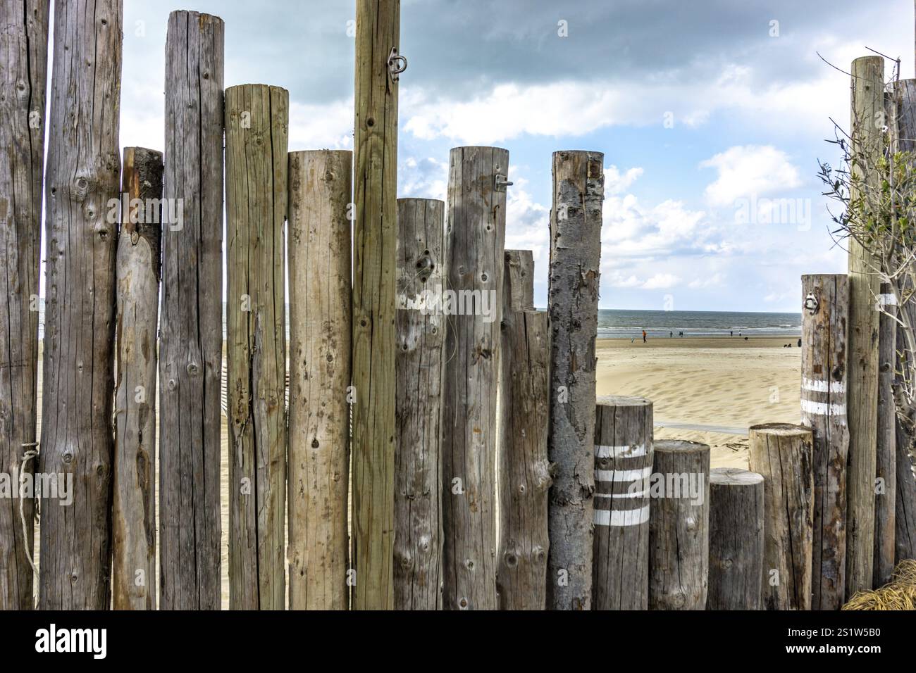 Dekorativer Holzzaun am Meer mit Meerblick und Sandstrand in Holland. Dekorativer Holzzaun am Meer mit Meerblick und Sandstrand Stockfoto