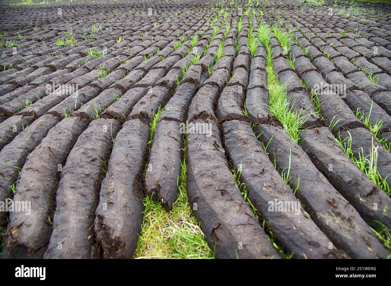 Torfgewinnung in Ostfriesland Stockfoto