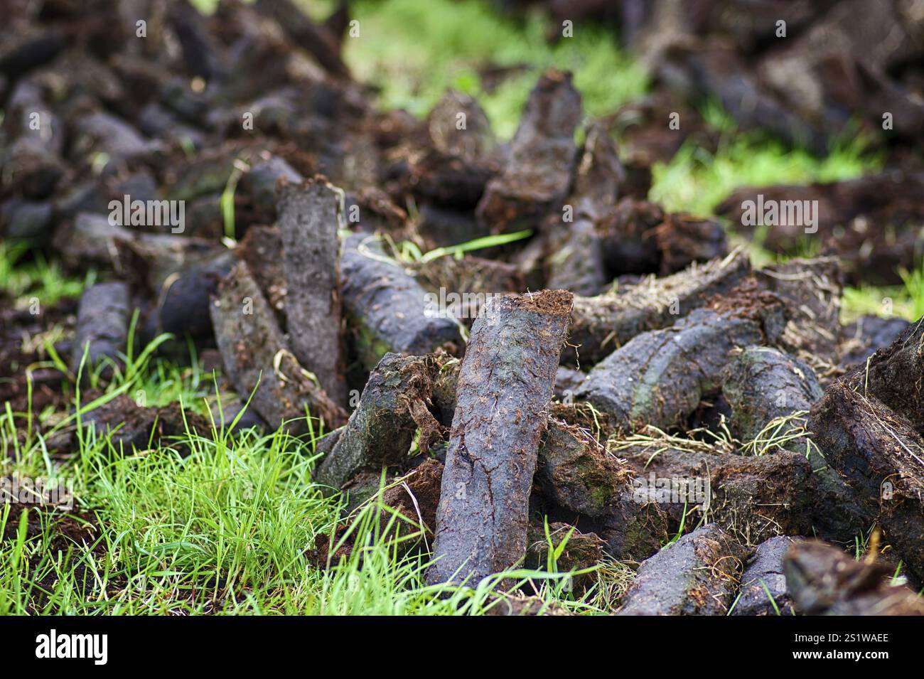 Torfgewinnung in Ostfriesland Stockfoto