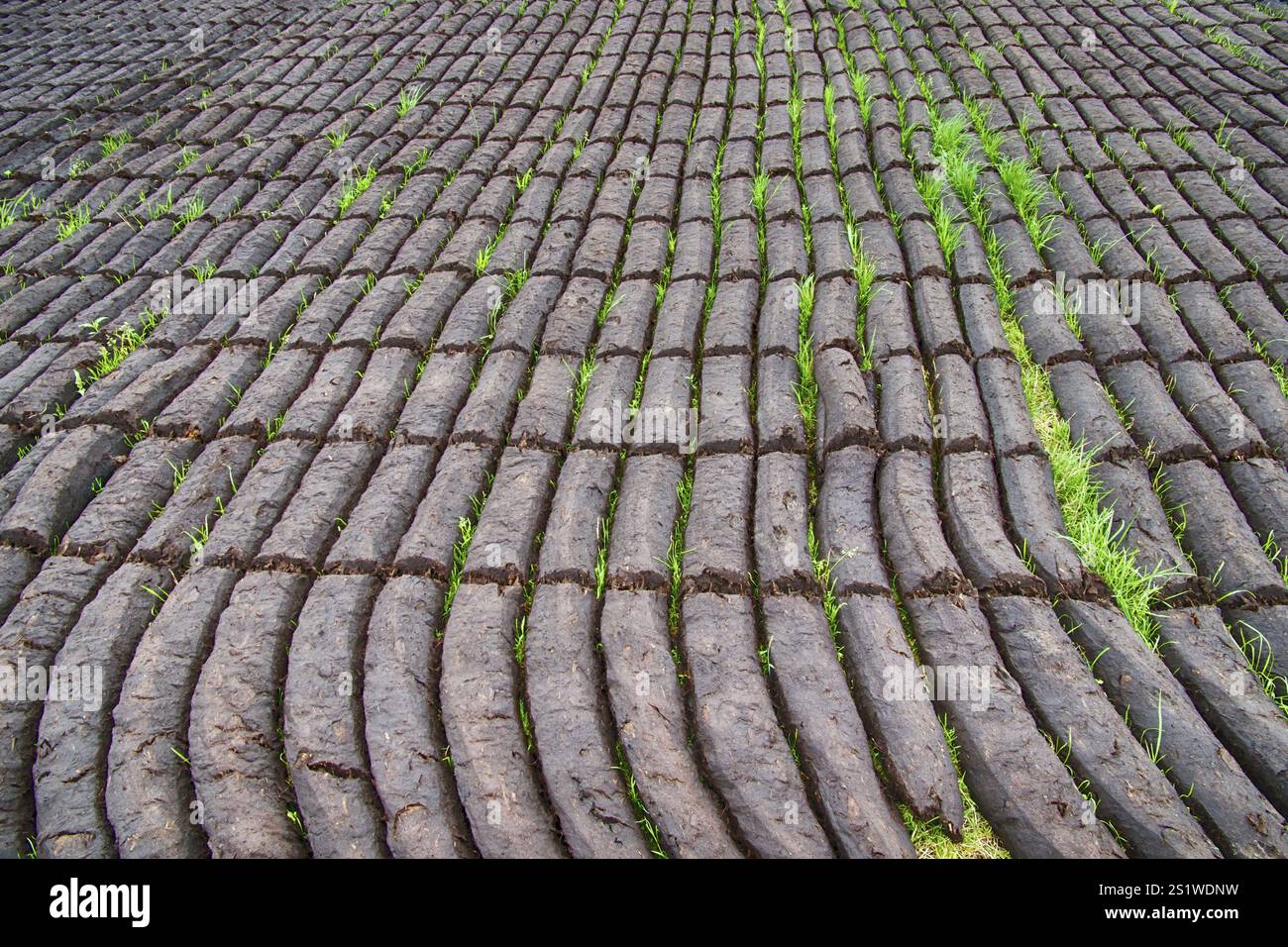 Torfgewinnung in Ostfriesland Stockfoto