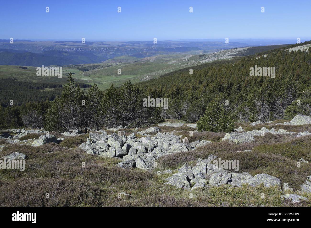 Blick vom Mont Lozere, Nationalpark Cevennen, Frankreich, Europa Stockfoto