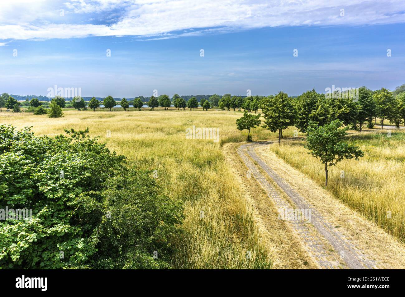 Landschaftsfotografie des Naturschutzgebiets Elbeauen in Gartow in Wendland im Sommer. Landschaft in der Nähe der großen Elbe in Norddeutschland Stockfoto