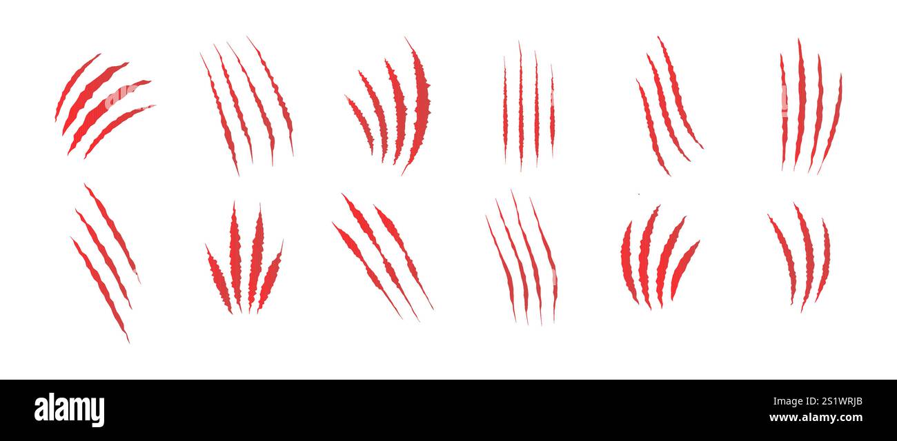 Katzenkratzer. Satz von roten blutigen Tierkrallenspuren isoliert auf weißem Hintergrund. Bären- oder Tigerkrallen-Wanderwege. Illustration des flachen Vektors Stock Vektor