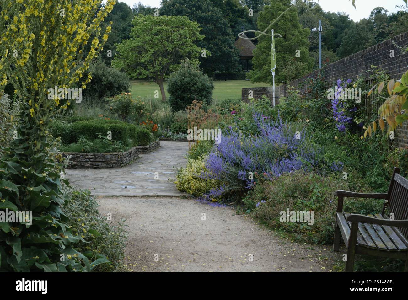Landschaftsgarten mit Steinweg, üppigem Grün und lebendigen Blumen. Auf der linken Seite stehen hohe gelbe Blüten, auf der rechten Seite violette Blüten. Stockfoto