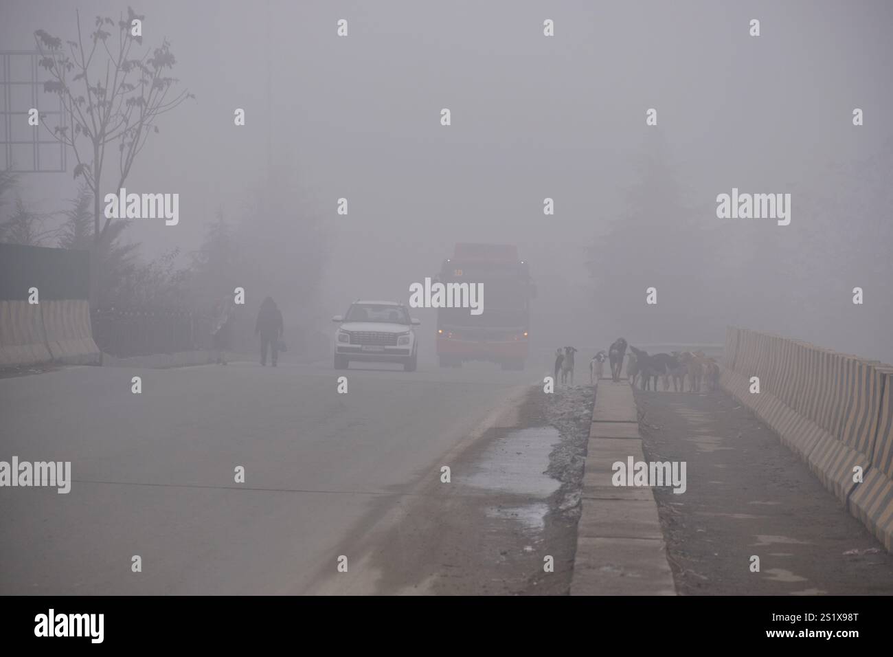 Nicht exklusiv: Fahrzeuge werden aufgrund eiskalter Temperaturen durch den Nebel gesehen. Dicker Nebel umhüllte das Kaschmir-Tal und verursachte schlechte Sicht Stockfoto