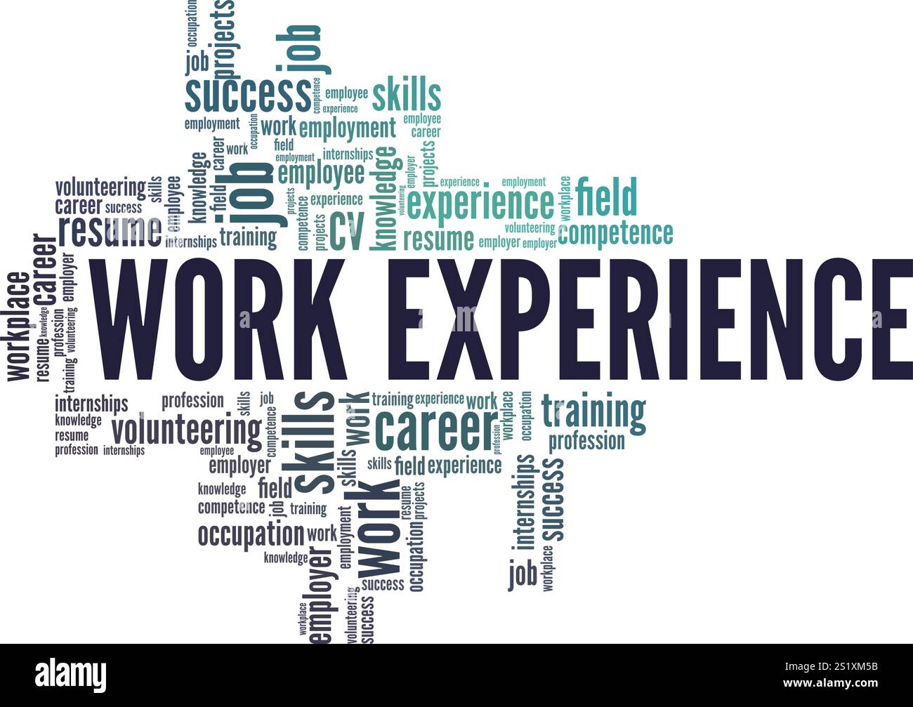 Work Experience Word Cloud Konzeptdesign isoliert auf weißem Hintergrund. Stock Vektor