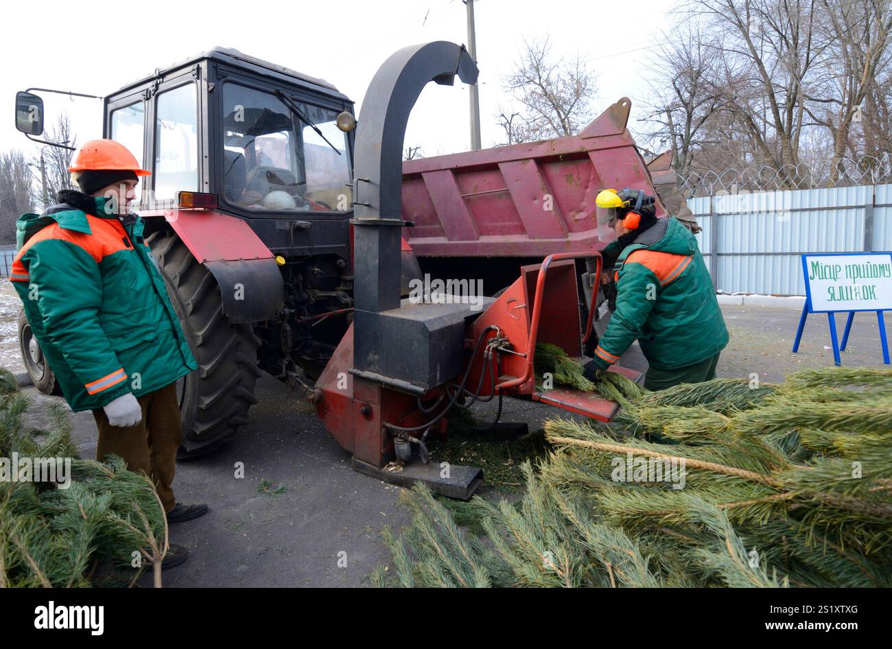 Die Stadtarbeiter stellen Zweige gebrauchter Weihnachtsbäume in den Hacker. Sammelstelle für das Recycling gebrauchter Weihnachtsbäume. Januar 2018. Stockfoto