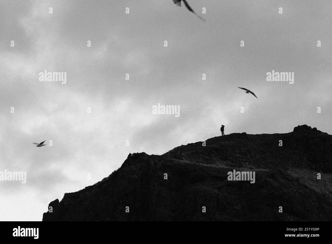 Ein Bergwanderer, der Möwen an einem Wintertag im Holyrood Park, Edinburgh, beobachtet. Stockfoto