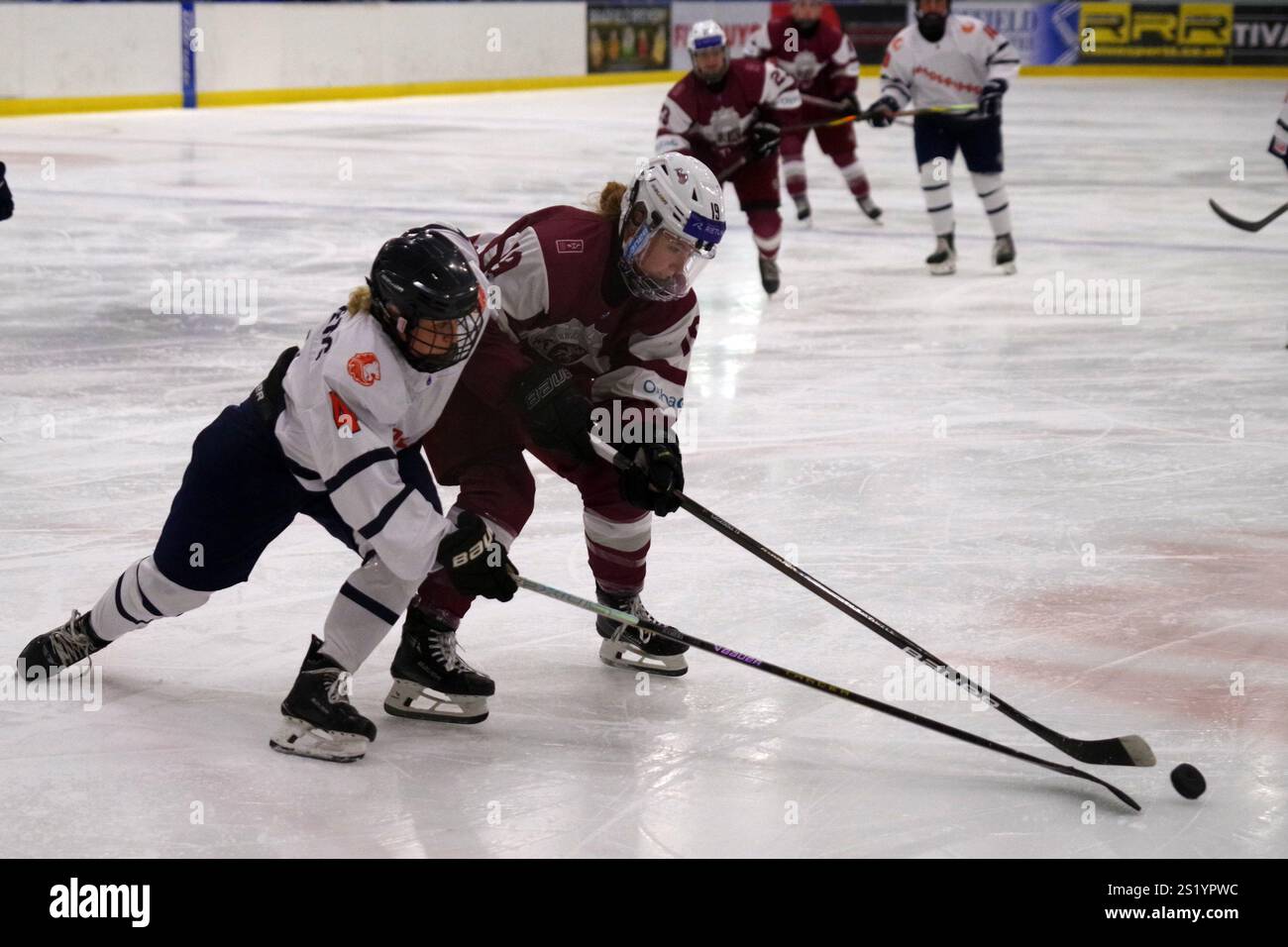 Sheffield, England, 14. Dezember 2024. Kayleigh Hamers spielt für die Niederlande und Anna Lagzdina für Lettland in Runde 3 des Olympischen Eishockey-Qualifikationsturniers der Frauen in der Bauer Arena in Sheffield. Quelle: Colin Edwards Stockfoto