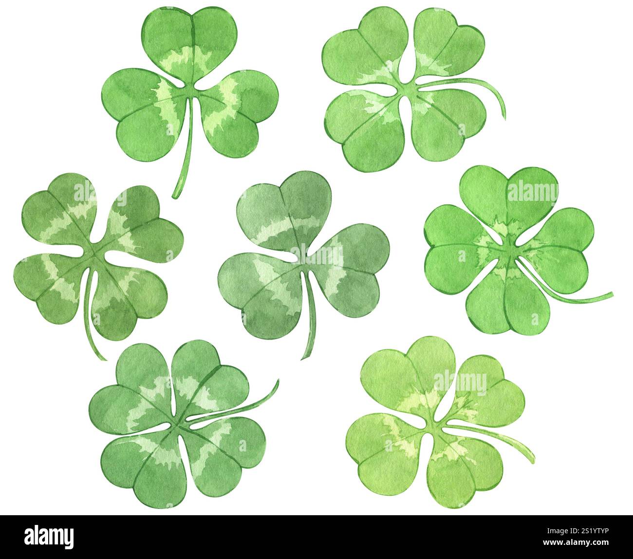 Aquarell handgezeichnete Kleeblätter, isoliert auf weißem Hintergrund. Shamrock Bundle für irische Weihnachtsdekoration. Glückliches grünes vierblättriges Kleeblatt, dreiblättriges Blatt Stockfoto