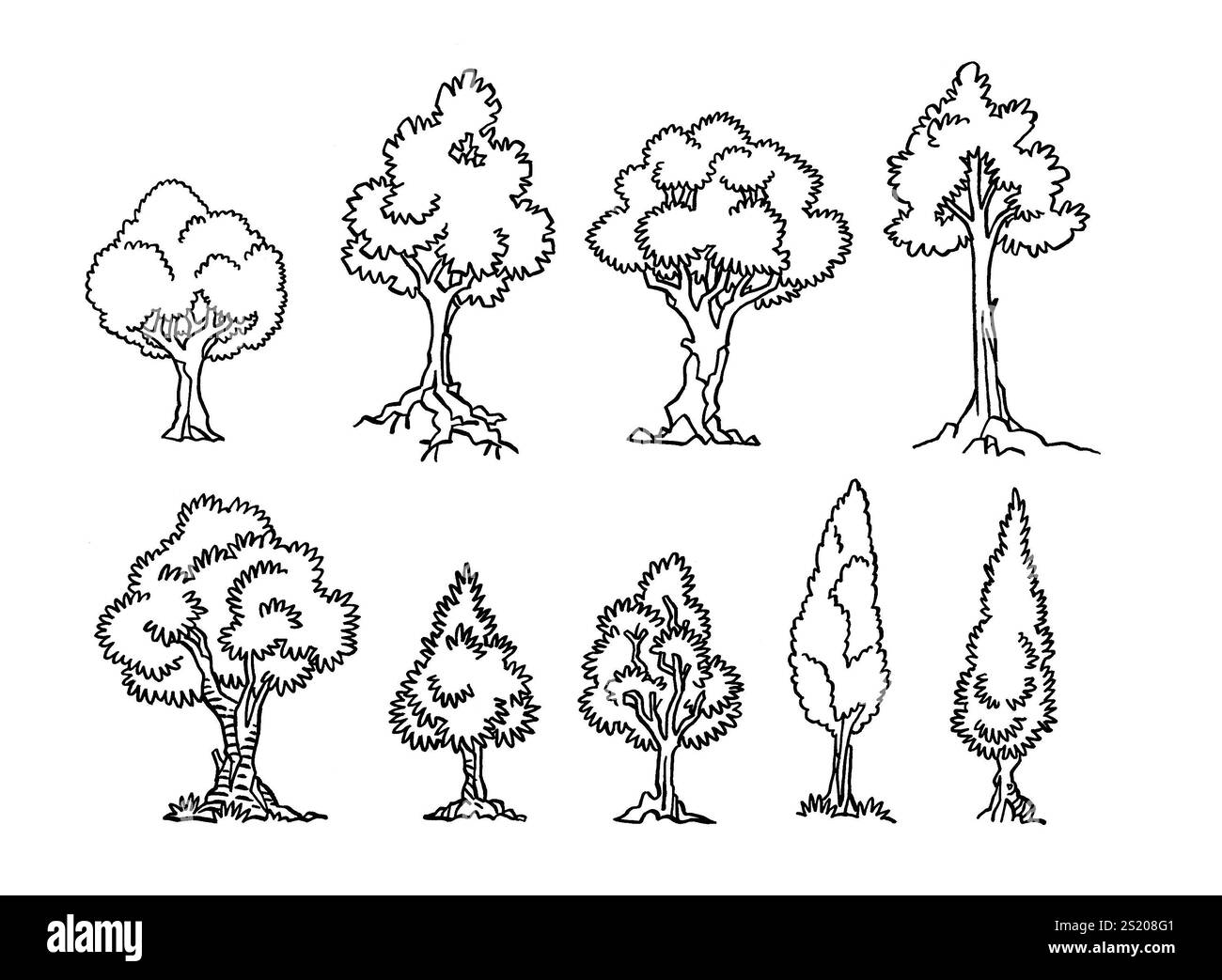 Set aus isoliertem, handgezeichnetem Baum aus einem europäischen Wald, Natur, grafischem Element. Schwarze Kontur. Stockfoto