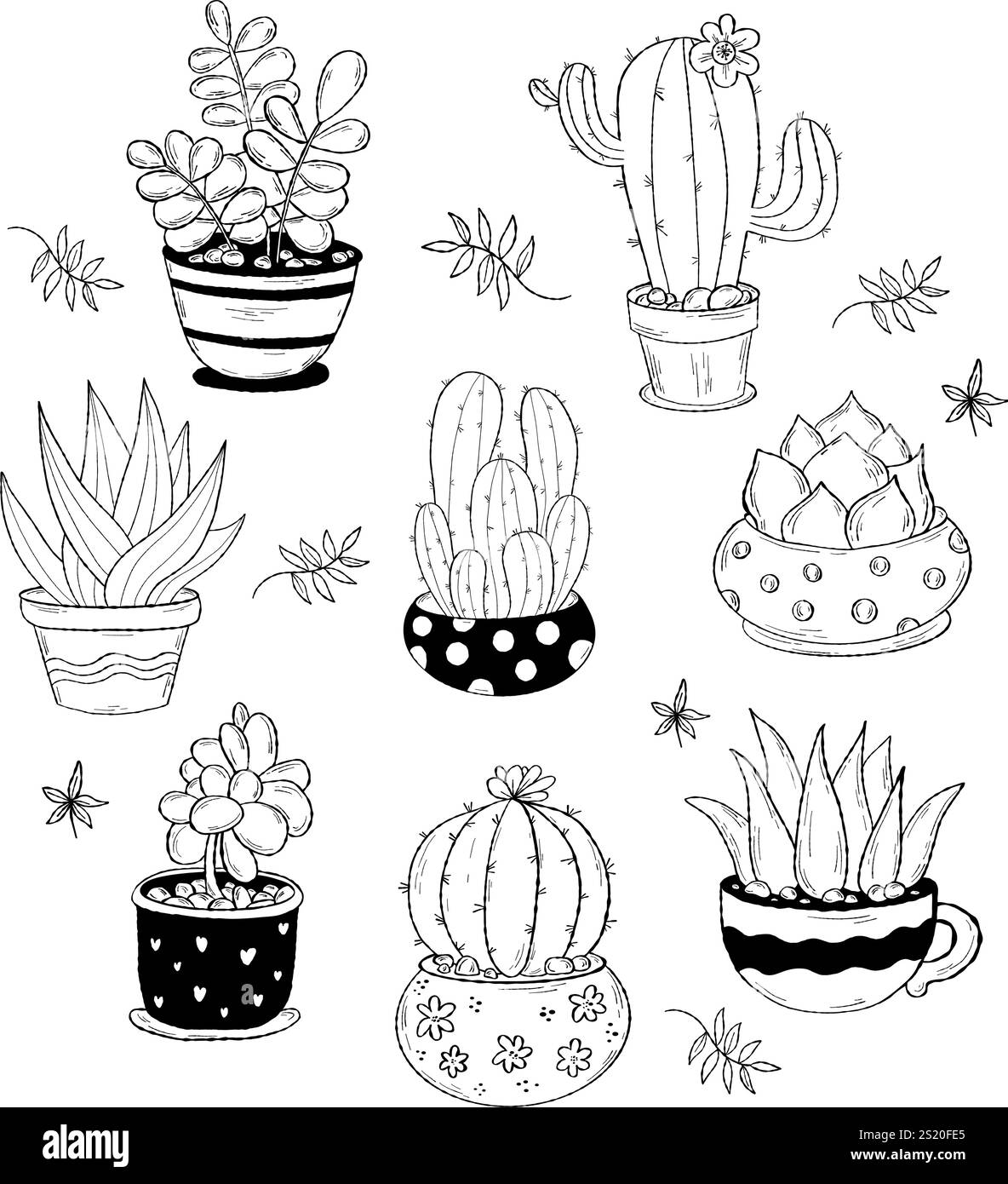 Sammlung von Zimmerpflanzen-Kaktus. Vektorabbildung. Isolierte Handzeichnungen tropischer Zimmerpflanzen in Töpfen Stock Vektor