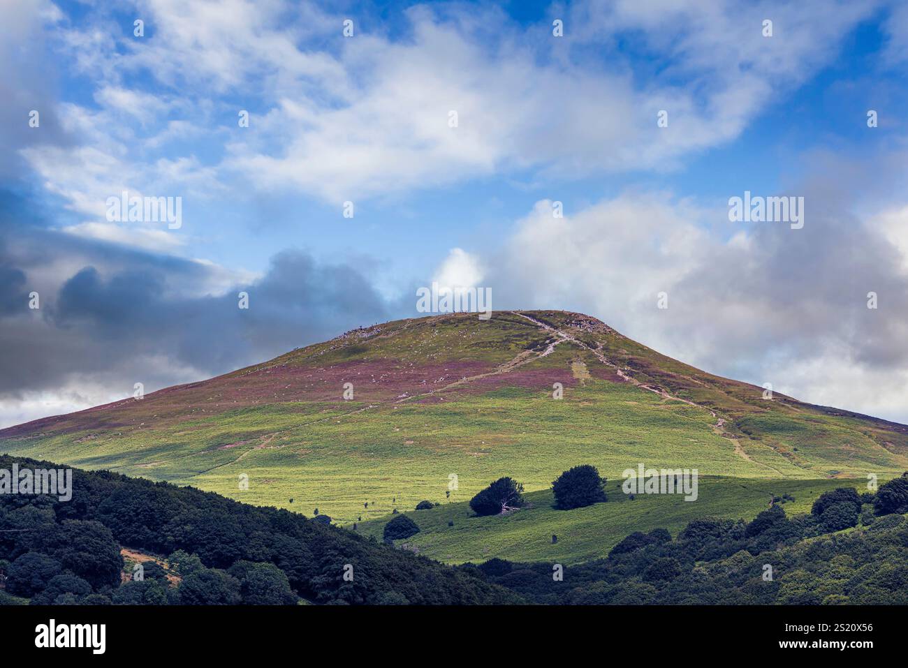 Sugar Loaf, Abergavenny, Wales, Vereinigtes Königreich Stockfoto