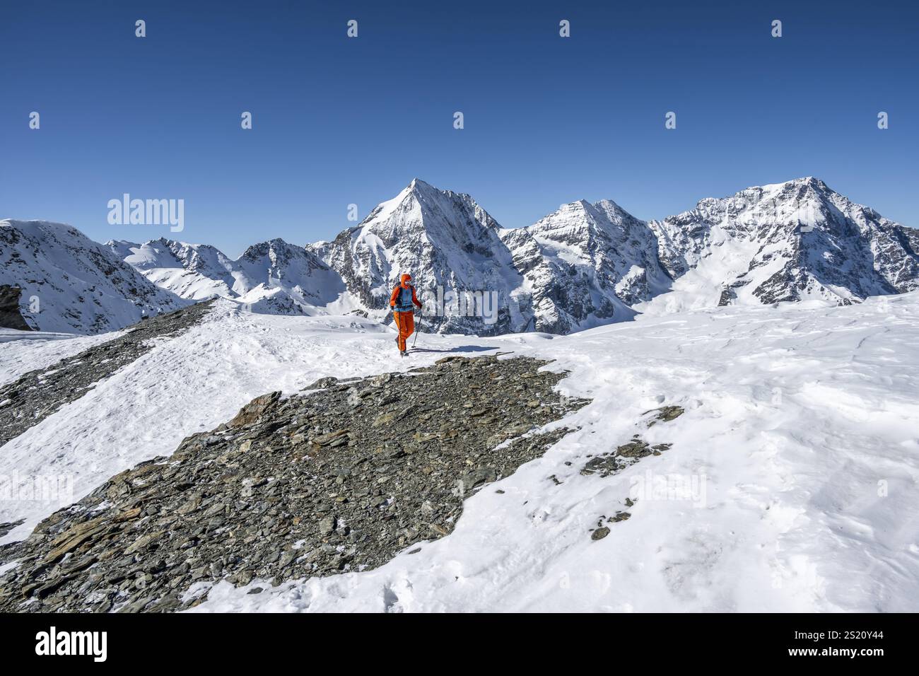Skitouren zu Fuß, schneebedeckte Berglandschaft im Winter, Blick auf die Berggipfel Königsspitze, Monte Zebru und Ortler, Ortler Alpen, Vinschgau V Stockfoto