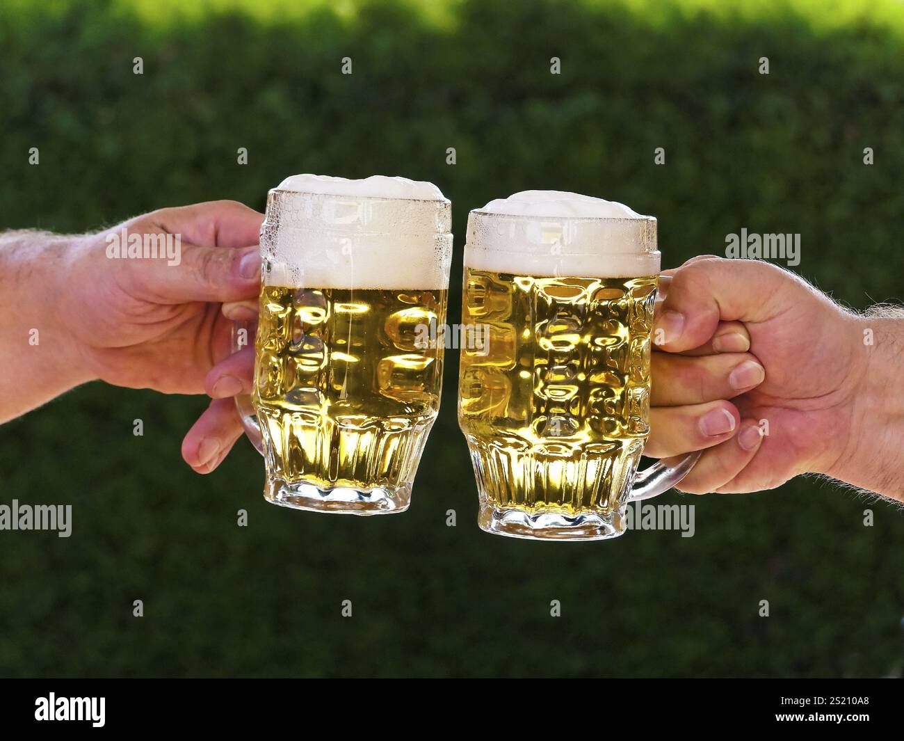 Zwei Tassen Bier und Bierschaum im Toast Austria Stockfoto