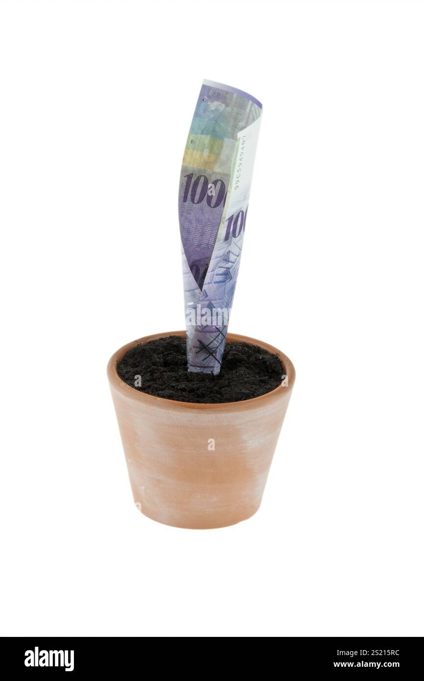 Eine Schweizer-Franken-Banknote in einem Blumentopf. Symbol Interesse, Wachstum. Österreich Stockfoto